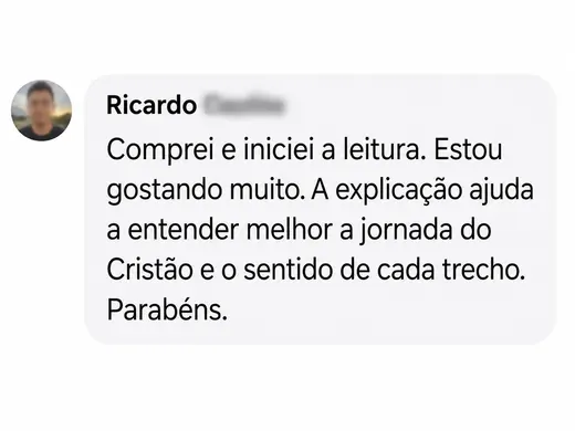 Feedback de Ricardo sobre O Peregrino Explicado